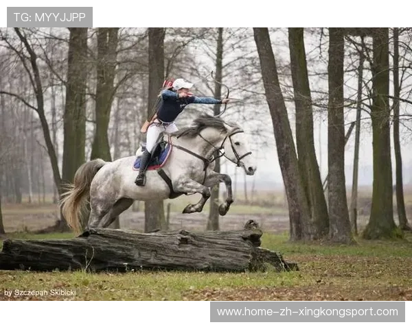 波特骑马射箭高难度打进