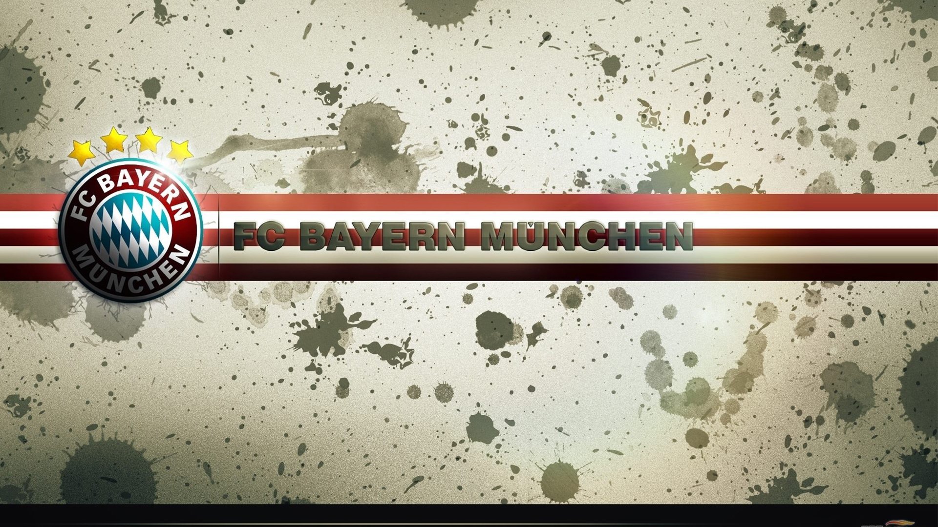 体育明星成功经验